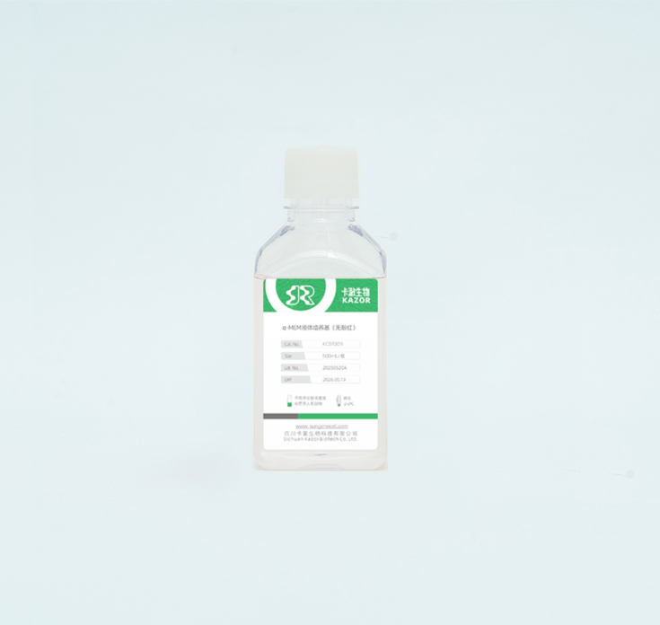 α-MEM液体培养基