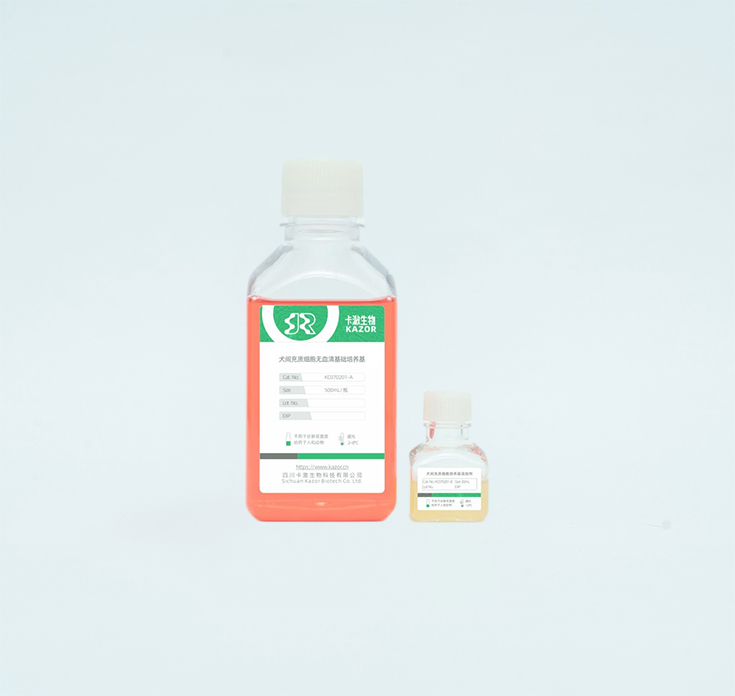 犬间充质细胞无血清培养基­