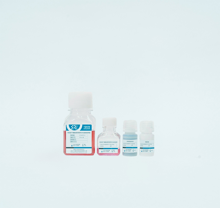 Chondrogenic Differentiation Medium Kit