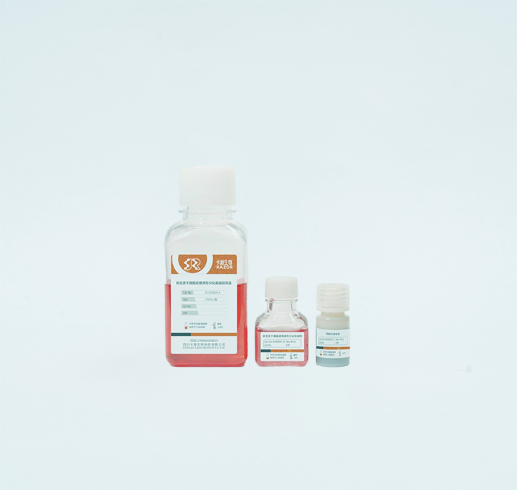 Osteogenic Differentiation Medium Kit