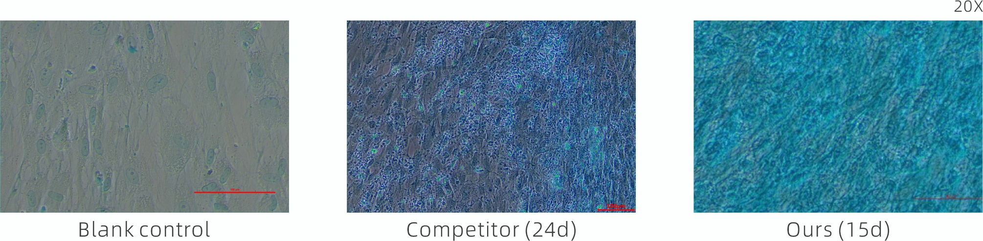 1780542934241623.jpg 1780542934241623.jpg