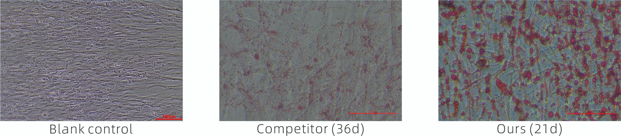 1781245259145361.jpg 1781245259145361.jpg